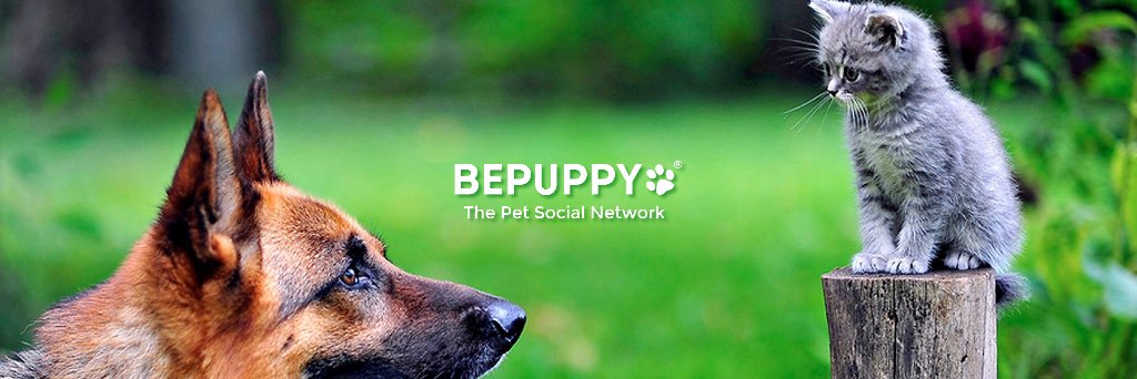 bepuppy's profile banner image