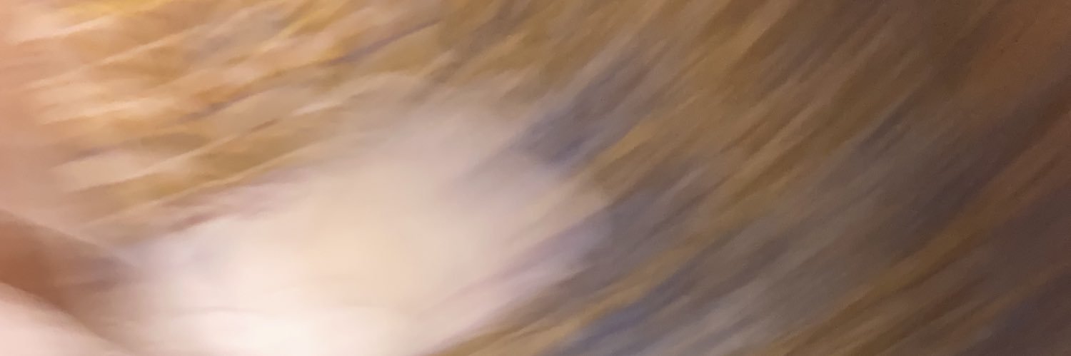 hidden__bliss's profile banner image