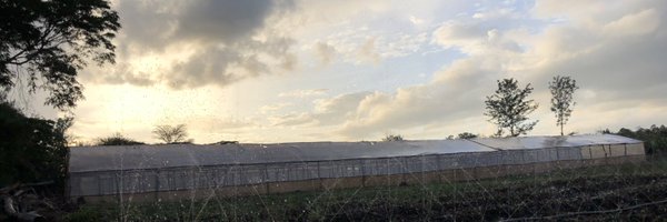 kalebndolo Profile Banner