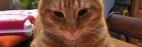 OwnerSimbas Profile Banner