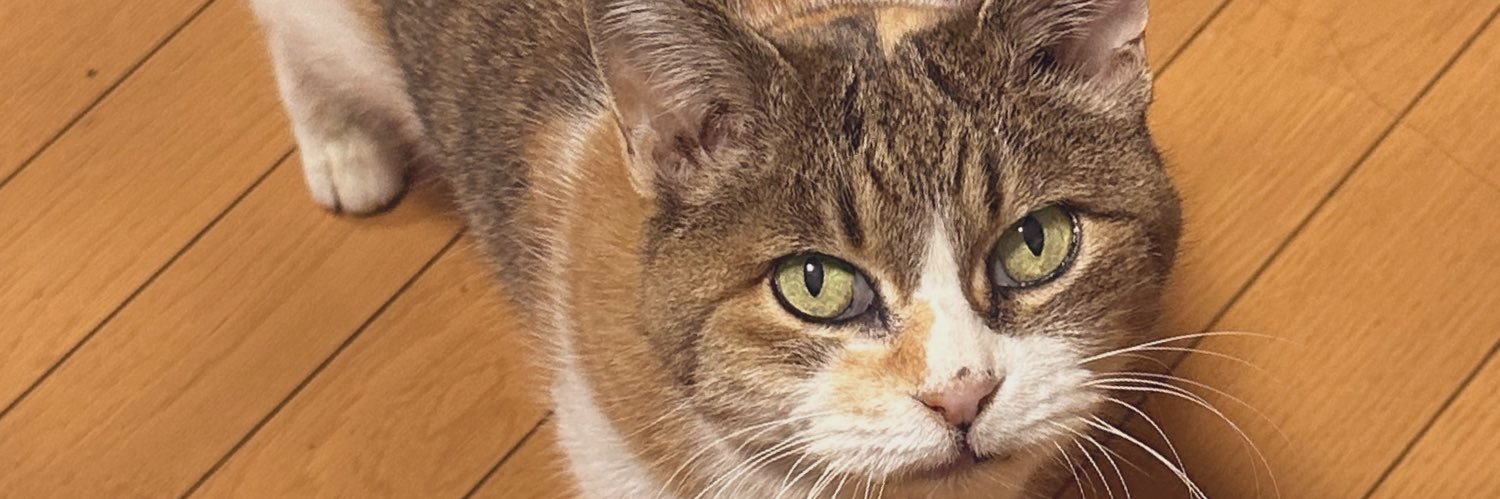 sKissmint's profile banner image