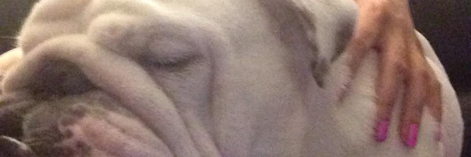 GrantBecci's profile banner image