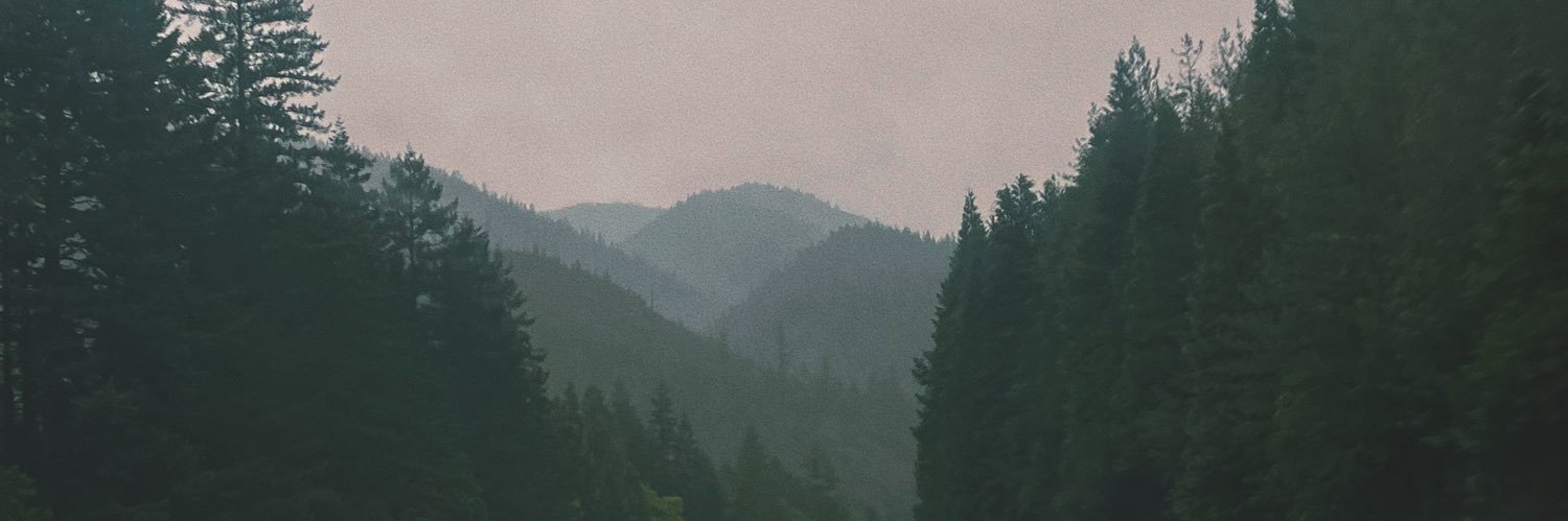 almostdeadplant's profile banner image