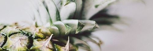 viktorialosell's profile banner image