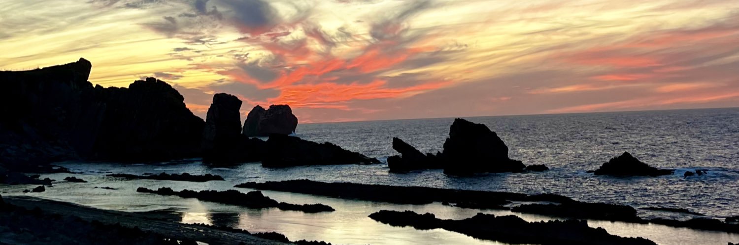 Beatrice Piraccini banner