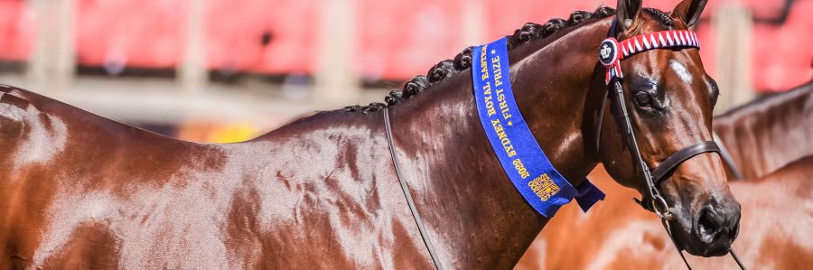 brooke sweeney banner