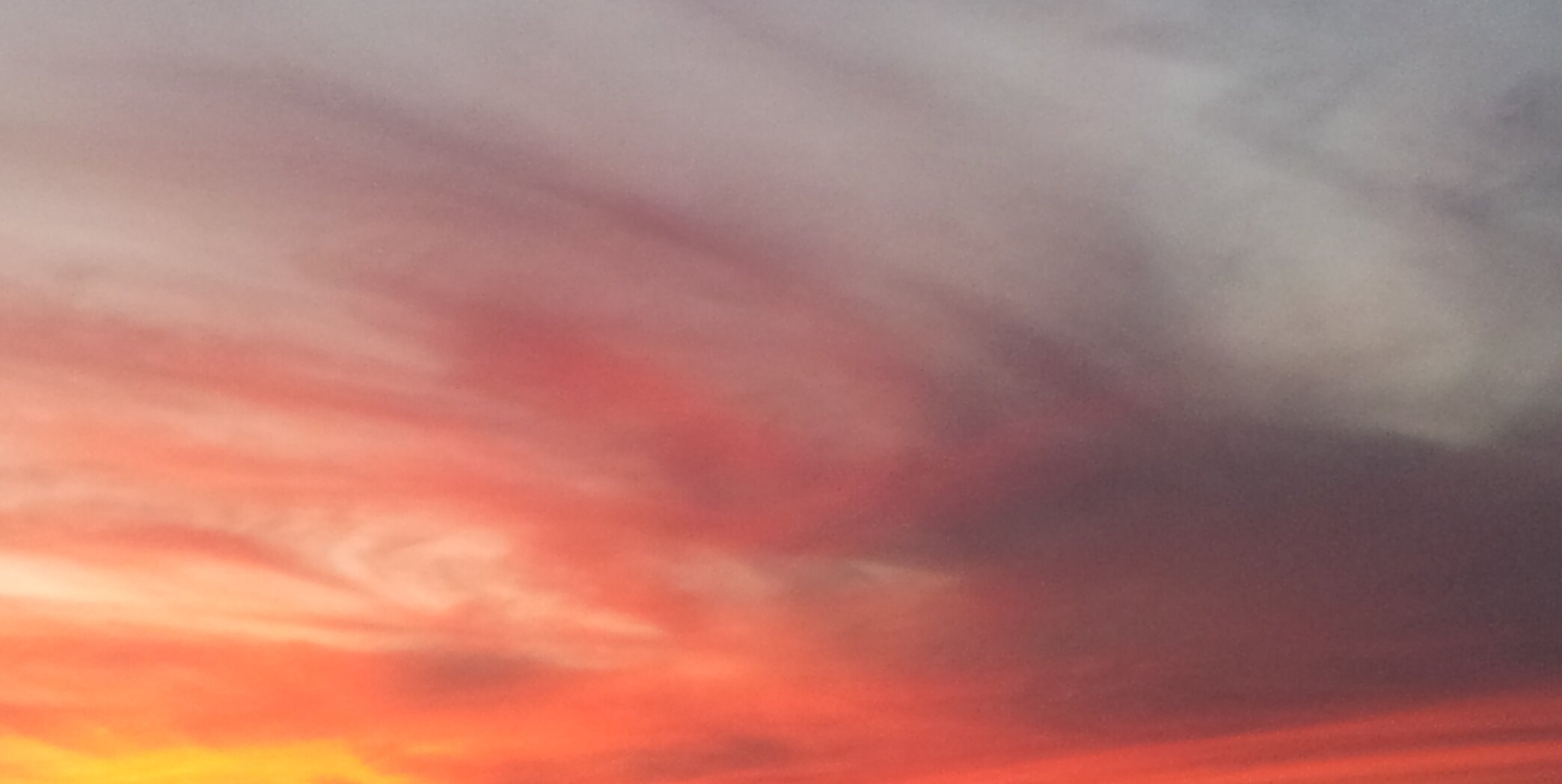 leleiko's profile banner image
