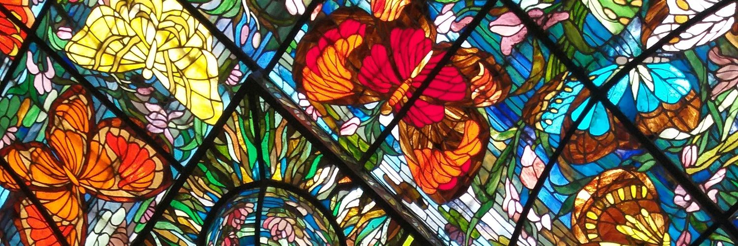 Barbie Todóloga🌈🔫🧚🏽‍♂️ banner