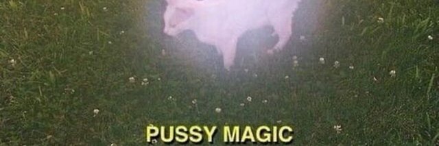 firearms harlot banner