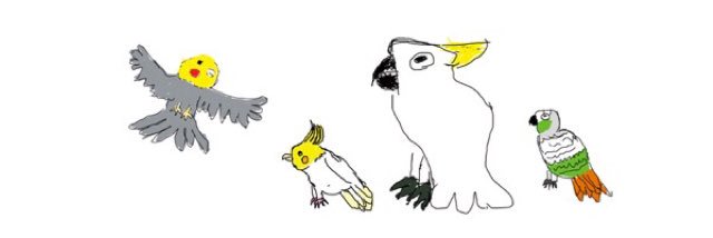 しらとり𓅫 banner