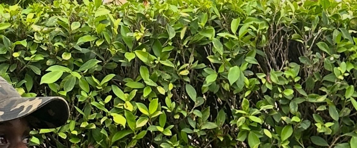 i6ryan_'s profile banner image