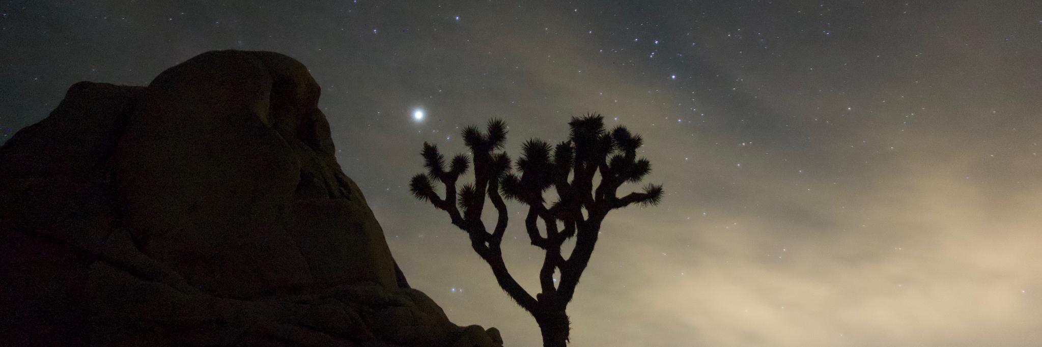 Jamison Foser banner