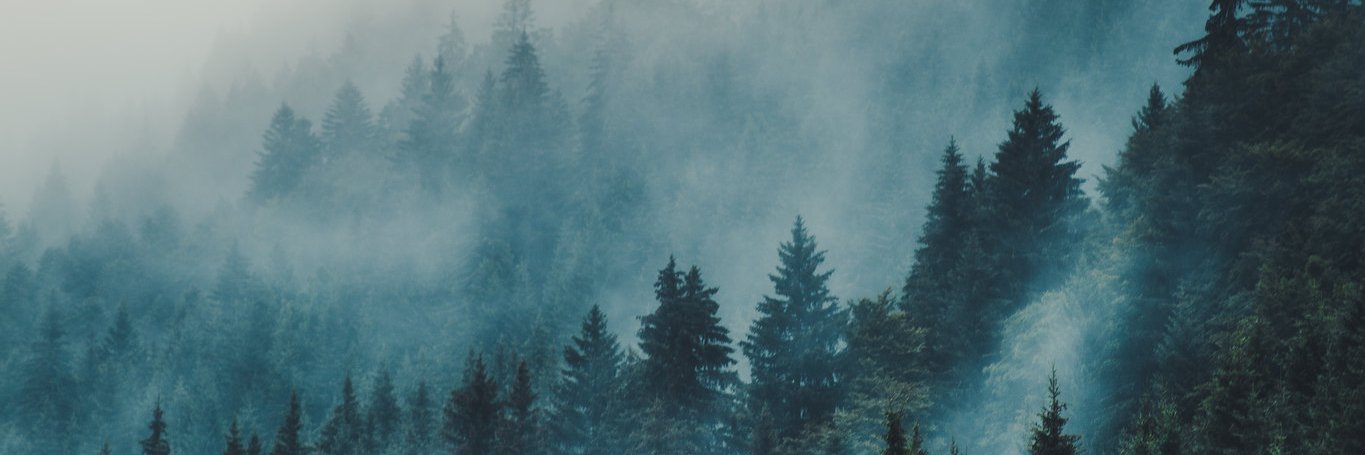 petraplatz's profile banner image
