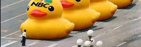 realDuck's profile banner image