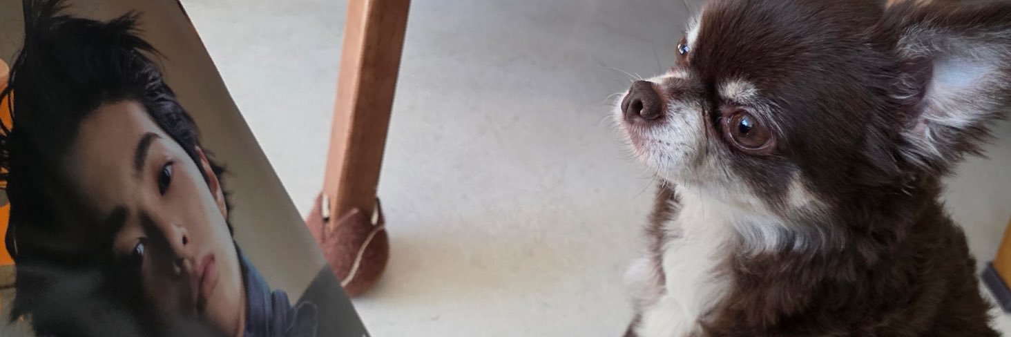땅콩이‎🦛 banner