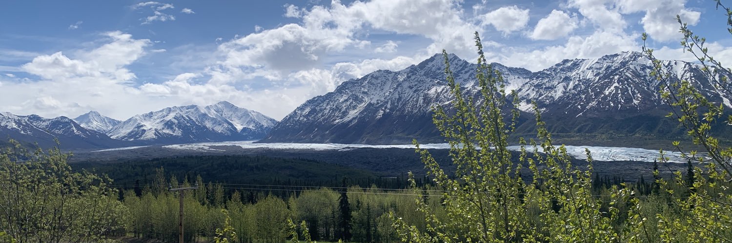 Charlie Fellows banner