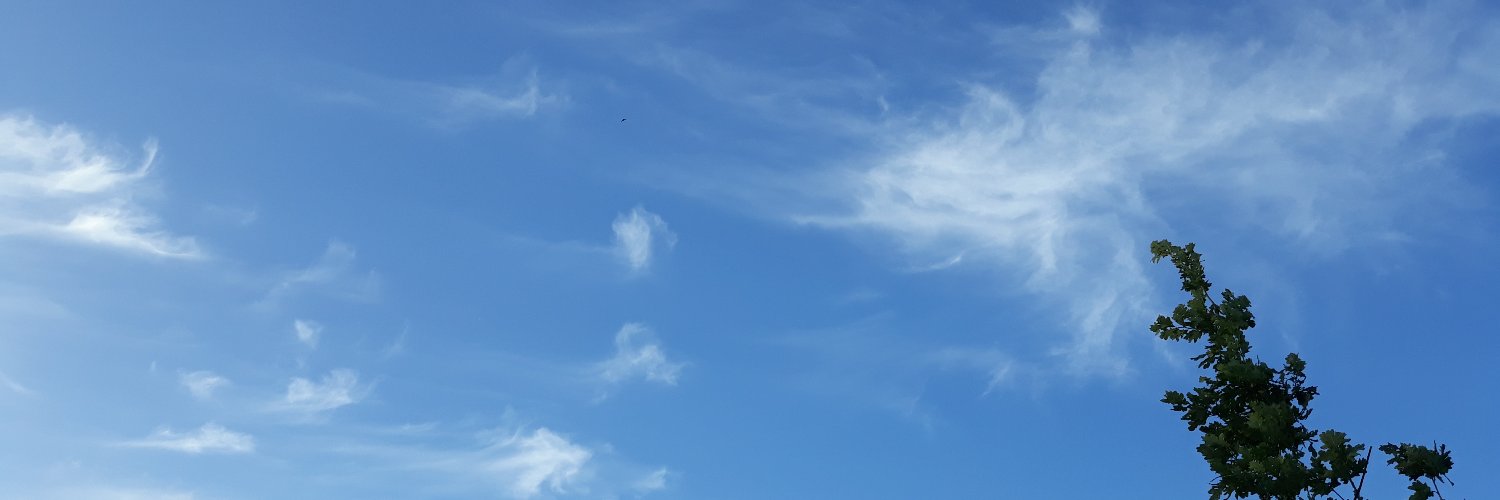 minzer's profile banner image