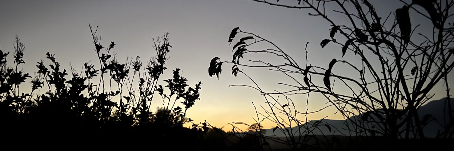 kmkm4145's profile banner image
