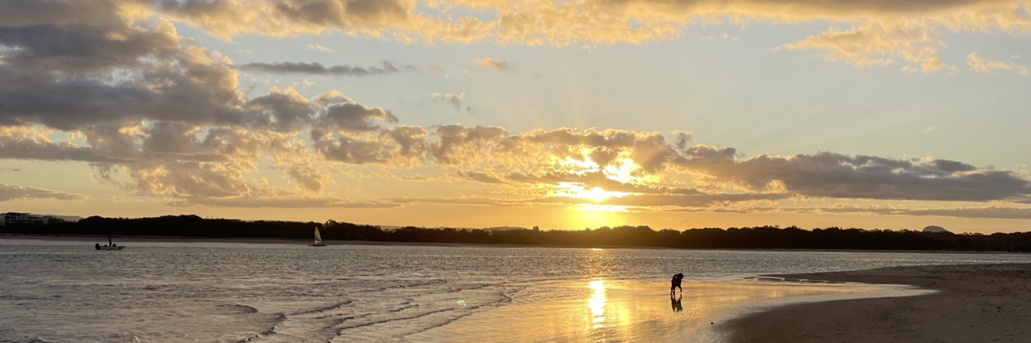 Dr Anita Hamilton (SFHEA) banner