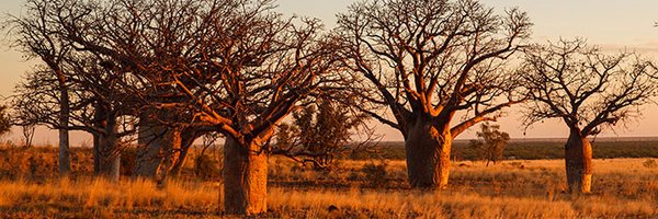 AnneWhitworth1 Profile Banner