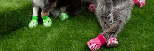 VinKimo's profile banner image