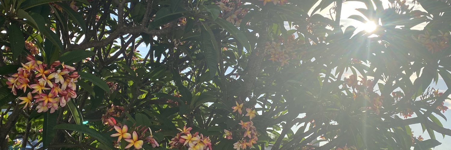 constanzabrock's profile banner image