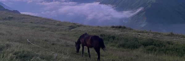 PjotrSauer Profile Banner