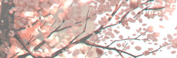 kali. banner