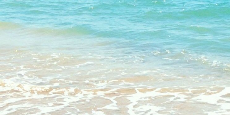 Lavigne_____'s profile banner image