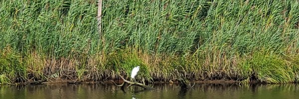 MeganCarolan Profile Banner