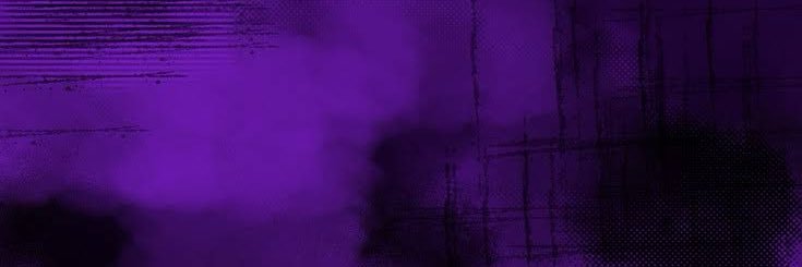 reneevals's profile banner image