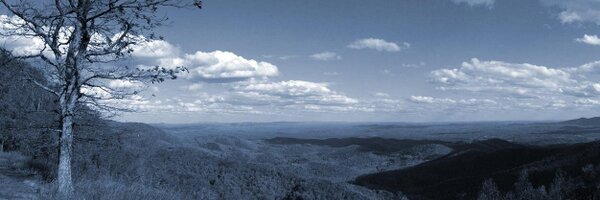 warnick Profile Banner