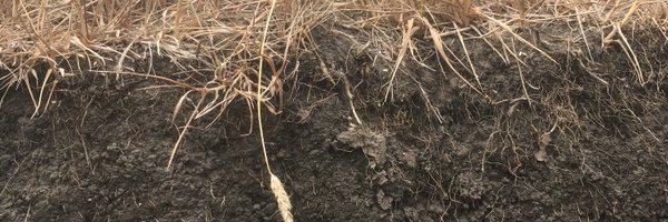 SomeSoilScience Profile Banner