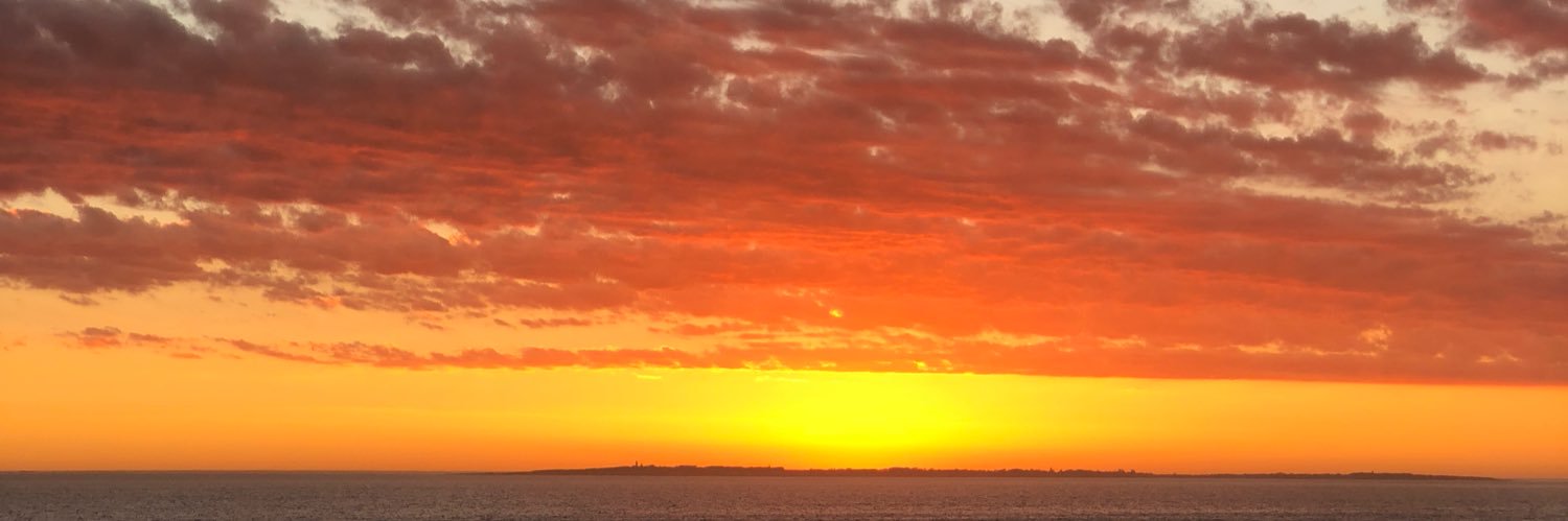 Twitter banner for @sinus