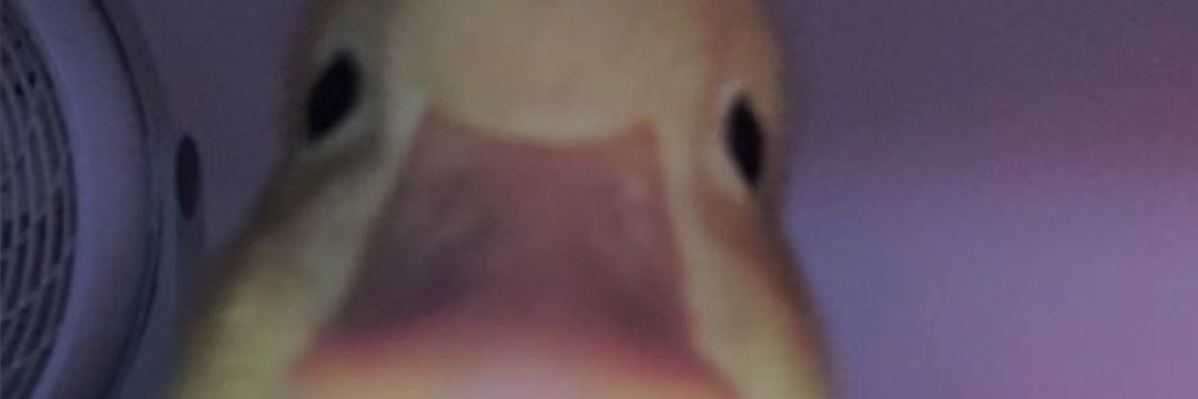 JBJairo19's profile banner image