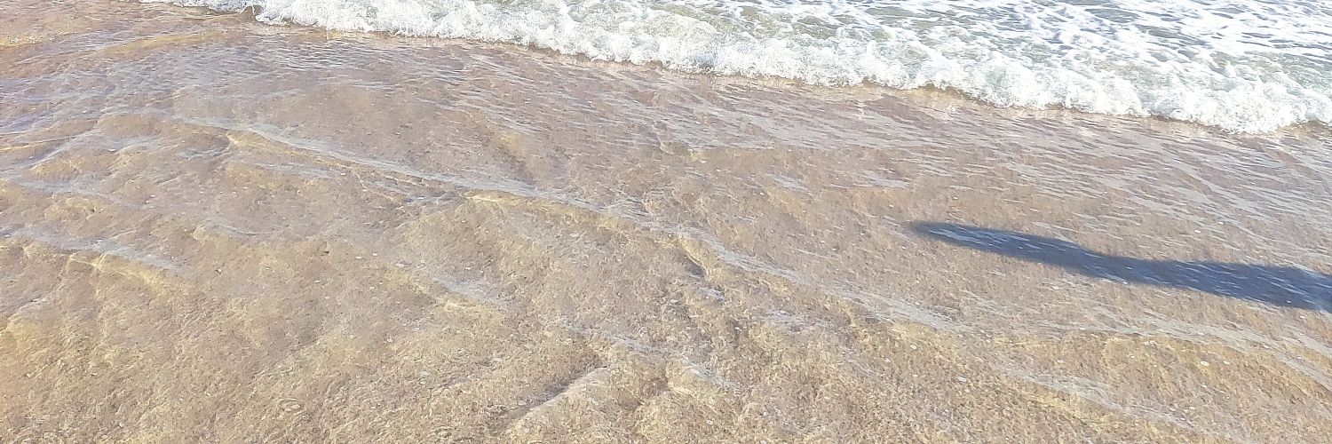 s1y banner