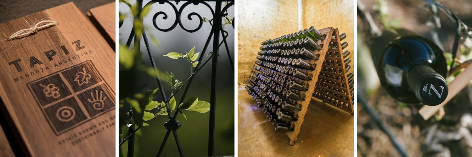 bodegatapiz's profile banner image
