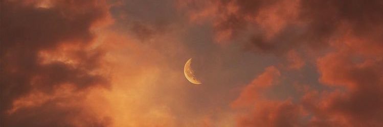 nyamikku's profile banner image