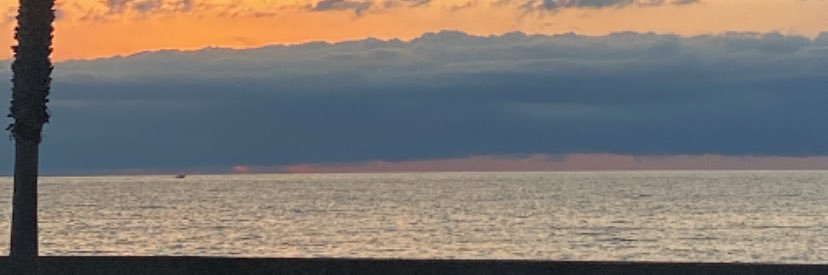roger8royo's profile banner image
