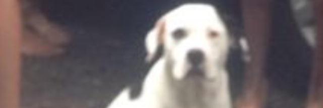 DiegoFelipe25's profile banner image