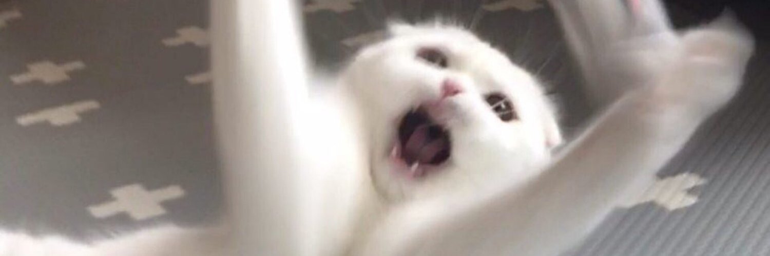 fopoxem's profile banner image