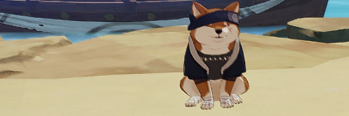 raideneirei's profile banner image