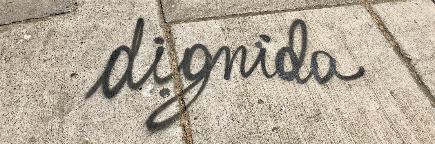 msanguineti's profile banner image