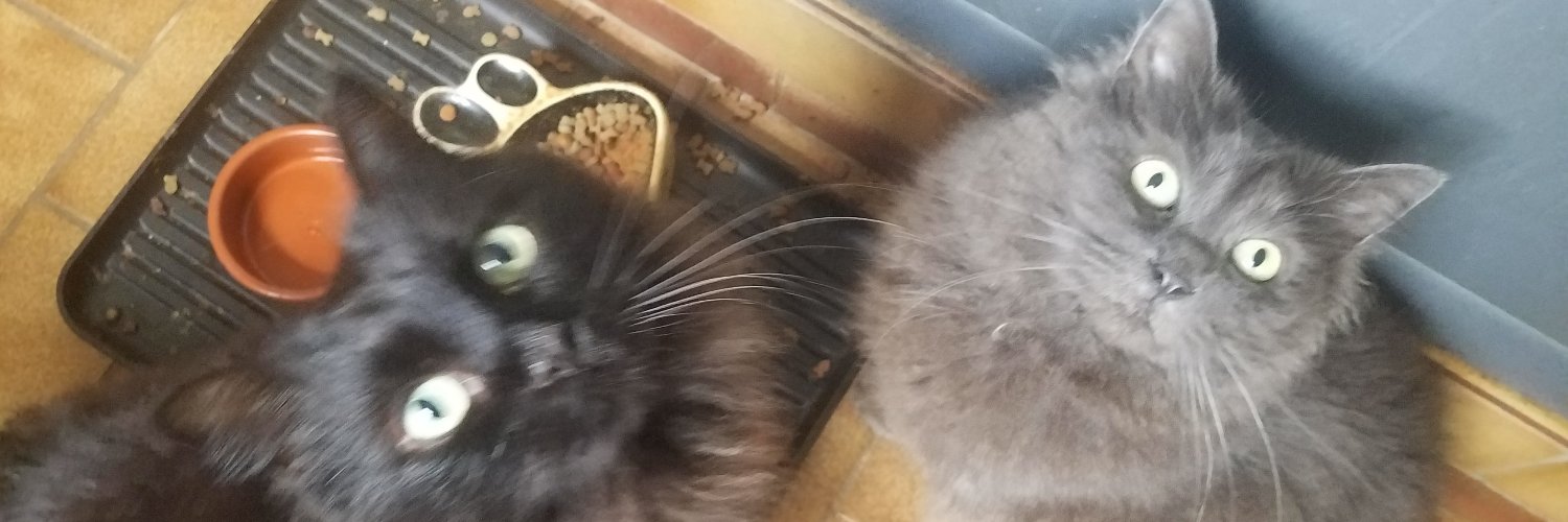 Rincedent2's profile banner image