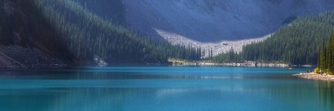 ShahzadOConnor's profile banner image