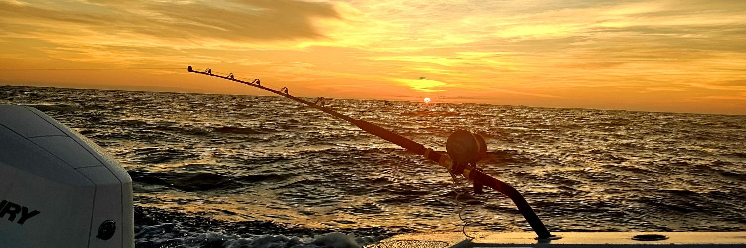 Florida doesn't suck banner