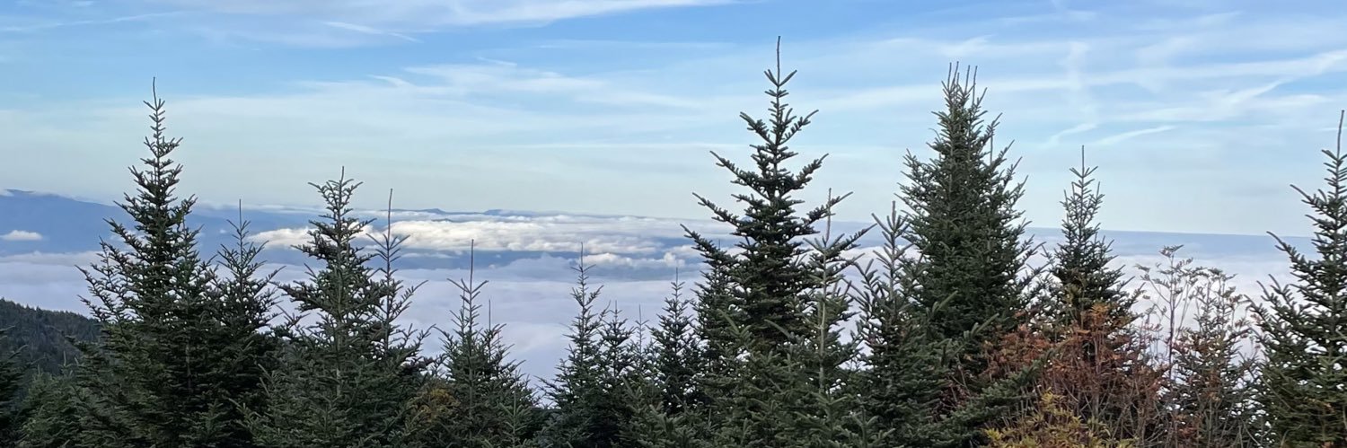 jarredmorgan's profile banner image