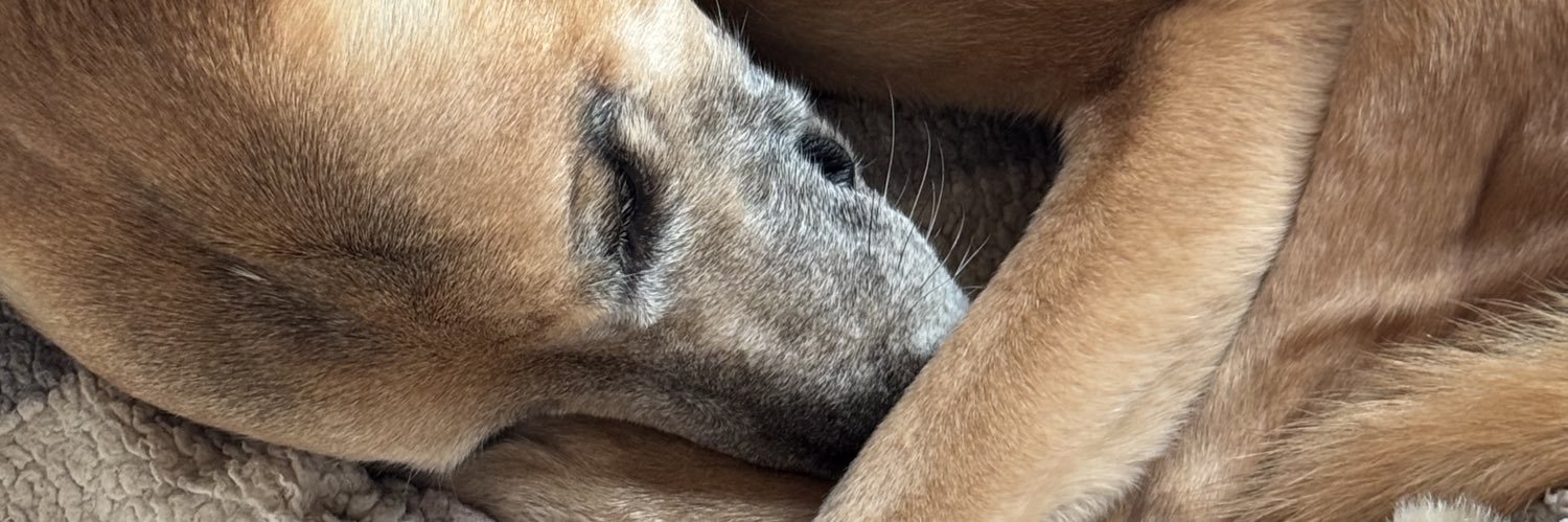 Lisa Forrest OT 🌈 banner