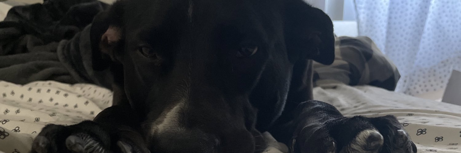 thimbyy's profile banner image