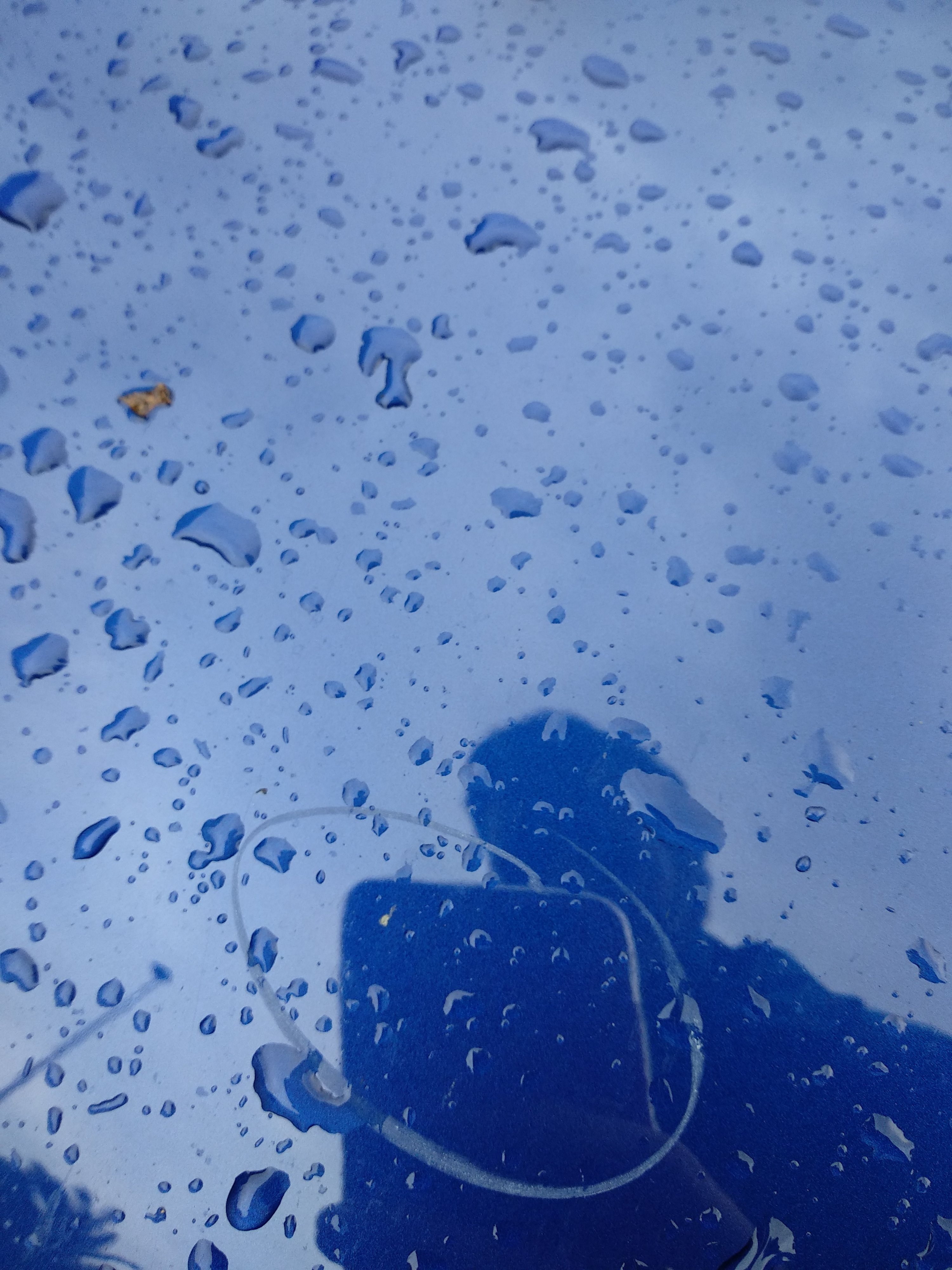 Fernando Munguía banner